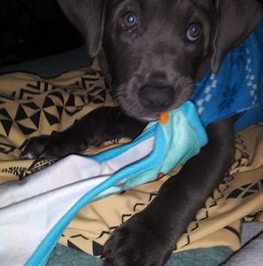 Meet your Posher, Carla